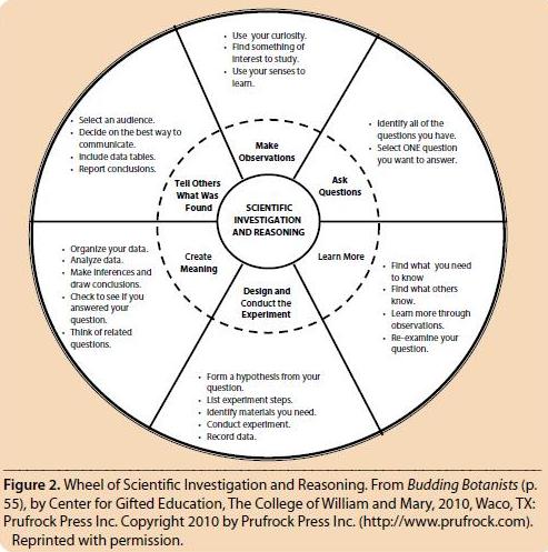 Essay on decision making in nursing