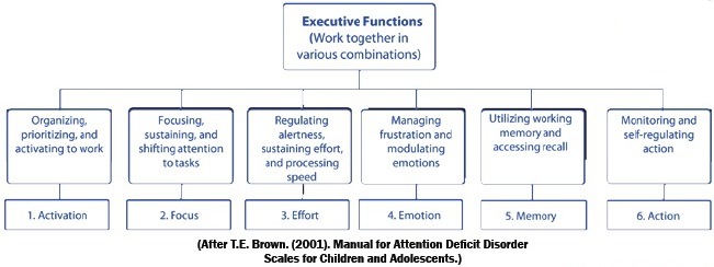 Adhd Maturity Lag Chart